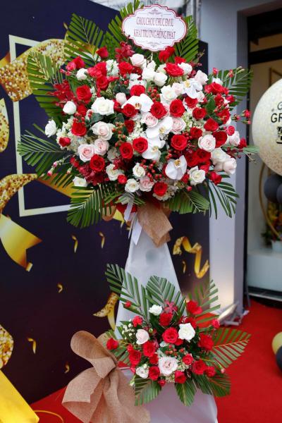 Hoa chúc mừng Hoa chúc mừng